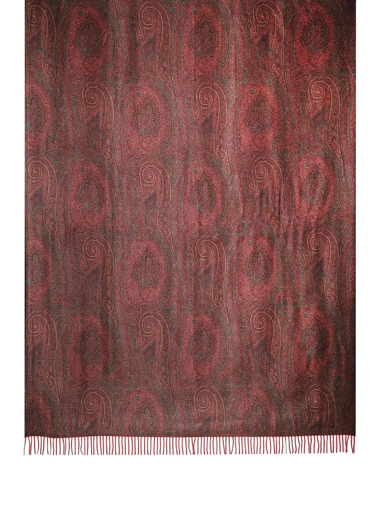 Etro Home Paisley Printed Throw